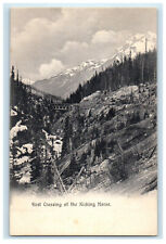 c1910 First Crossing of the Kicking Horse BC Canada CA Foreign Postcard picture