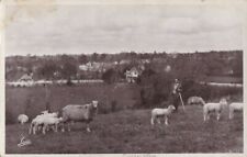 CPA 50 NORMANDY near Avranches St Jean le Thomas CAROLLES Berger & ses sheep picture