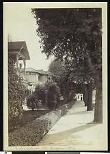 Residential street in Eugene Oregon Old Photo picture