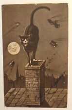 Antique Vntg Halloween Sepia Postcard, Loud Black Cat On Roof, Full Moon 1909 picture