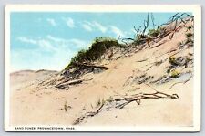 Massachusetts Provincetown Sand Dunes Vintage Postcard picture