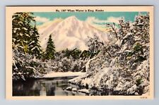 Scenic View When Winter Is King In Alaska, Antique, Vintage Postcard picture