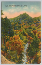 Great Smokey Mountains National Park Chimney Tree Tops NC and TN Linen Postcard picture
