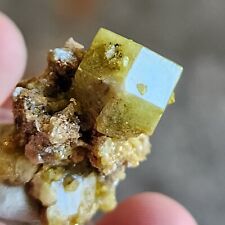Fine Lemon Yellow Grossular GARNET Crystal Cluster from the Kayes Region, Mali picture