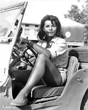Senta Berger sits at wheel of Jeep leggy pose Cast A Giant Shadow 8x10 photo picture
