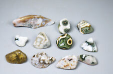 11pcs Amazing Ocean Jasper Crystal Agate Round Pendant Jasper Reiki Stone picture