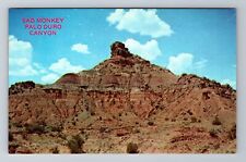 Amarillo TX-Texas, Sad Monkey, Palo Duro Canyon, Antique, Vintage Postcard picture