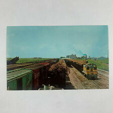 Postcard Florida Clewiston FL Train Railroad Sugar Cane House Yard 1960s Chrome picture