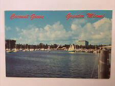 Coconut Grove Greater Miami Florida Vintage Postcard picture