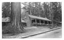 Postcard RPPC California Mariposa Grove Big Trees Lodge 23-3532 picture