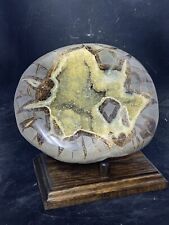 Septarian Nodule Hollow Half ( Utah)with Stand And Description Card picture