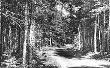 RPPC Through The Woods at Kineo, Maine Real Photo Postcard  picture