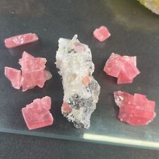 6 Rhodochrosite Crystals + 1 Rhodo on Matrix from Sweet Home Mine, Colorado picture