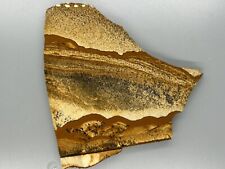 African Queen Picture Jasper Slab - Namibia - 4” x 4” - 110grams picture