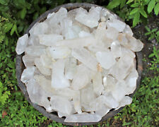 Wholesale CLEARANCE Bulk Lot 1 lb Rough Natural Quartz Crystal Points 16 oz picture