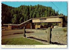 c1950's Giant Cedar Tree Overhead Walkway Konkolville Idaho ID Vintage Postcard picture