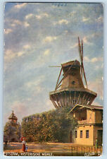 Potsdam Brandenburg Germany Postcard Historic Mill 1909 Oilette Tuck Art picture