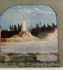 YELLOWSTONE NATIONAL PARK STEROVIEW Castle Geyser Diana's Pool Upper Basin 1903 picture