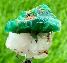22 Ct Terminated Top Panjsher Green Emerald Crystals On Quartz @AFG picture