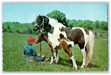 1967 Greetings From Lemke's Lodge Lake Plevna Ontario Canada Boy Horses Postcard picture