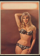 Hey There pin-up calendar print A Fox 1967 blonde in leopard-skin bikini picture