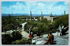 View from the Remada of the AZ Sonora Desert Museum Postcard c1958 Tuscon AZ picture