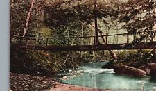 Vintage Postcard 1908 Natural Bridge Wooden Santa Cruz Mountains California CA picture