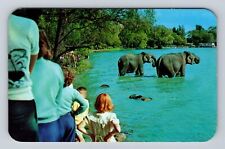 Canandaigua NY-New York, Roseland Park, Canandaigua Lake, Vintage Postcard picture