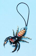 Kaiyodo Capsule Q Museum Spider Collection Marpissa pulla Strap Figure US seller picture
