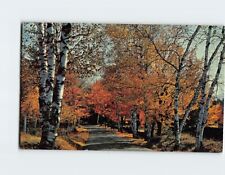 Postcard Fall Foliage USA North America picture
