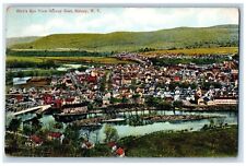 1910 Bird's Eye View Sidney East, Sidney New York NY Posted Antique Postcard picture