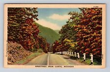 Curtis MI-Michigan, General Greetings, Antique, Vintage c1954 Souvenir Postcard picture