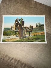 Yellowstone Park Wyoming WY Postcard Feeding A Wild Bear Scenic View 1928 Horse picture