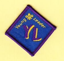 Boy Scout Badge obsolete YL Young Leader picture