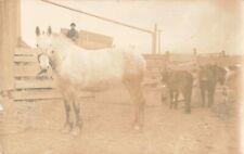 Horse Stable Bowen Illinois IL Hancock County c1910 Real Photo RPPC picture