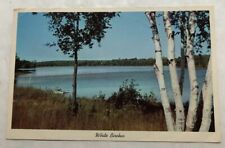 Greetings From Chautauqua Lake Mayville, N.Y. Postcard (L2) picture