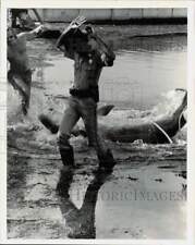 1974 Press Photo Bob English and Carol Young saving a Pygmy Sperm Whale picture