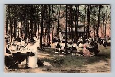 Sandusky OH-Ohio, Scenic View Grove at Cedar Point, Antique Vintage Postcard picture