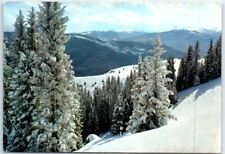 Postcard - A small corner of the vast Sun Down Bowl ski area at Vail, Colorado picture