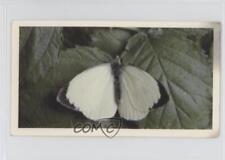 1983 Doncella British Butterflies Tobacco Large White #26 1i3 picture