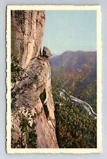 Lake Lure NC-North Carolina, Devil's Head, Highway, Antique, Vintage Postcard picture