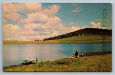 Color Postcard Of Crescent Lake The Sportsman's Paradise Springerville Arizona picture