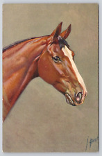 Rivst Artist Signed Horse Portrait Postcard (C260019) picture