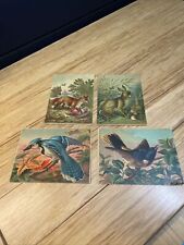 Antique Lot of 4 1880's Chromolithograph Victorian Trading Cards Animals KG JD picture