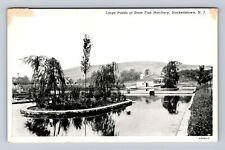 Hackettstown NJ-New Jersey, Large Ponds At State Fish Hatchery Vintage Postcard picture
