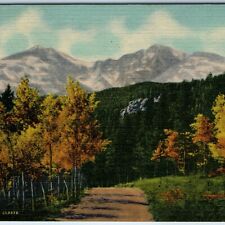 c1940s Estes Park, CO Long's Peak (ALT. 14,255 FT) Aspens Rocky Mountain PC A249 picture