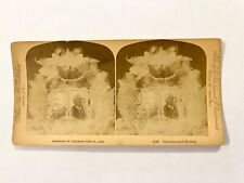 1888 HARRISON & MORTON JUGATE PICTURE CAMPAIGN STEREOVIEW CARD picture