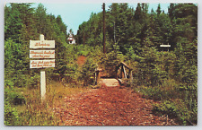 The Ridges Sanctuary Baileys Harbor Door County Wisconsin WI Vtg Postcard B4 picture