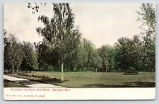 Neenah Wisconsin~River Side Park Entrance~Tree by Path~1909 Postcard picture