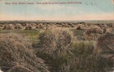 Wheat field Western Canada scene on the line all that Canadian Pacific Railroad picture